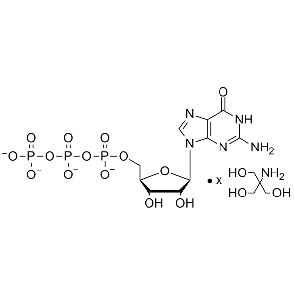 GTP, 100mM Tris Salt Solution