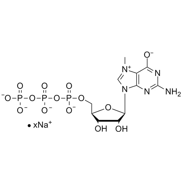 N7-Me-GTP, 100mM sodium salt solution