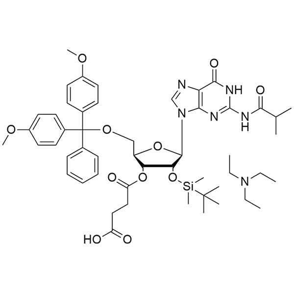 N2-iBu-DMT-2'-O-TBDMS-Gr-3'-succinate, TEA salt