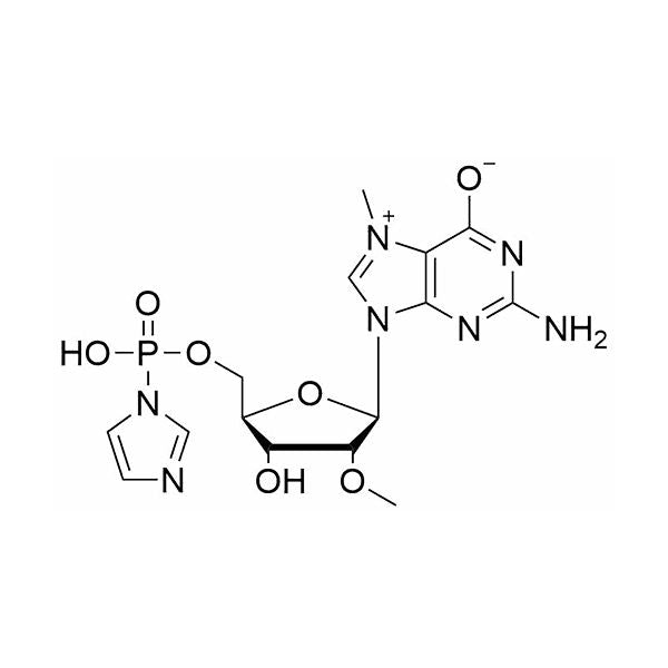 7-Me-2'-OMe-GMP·Im
