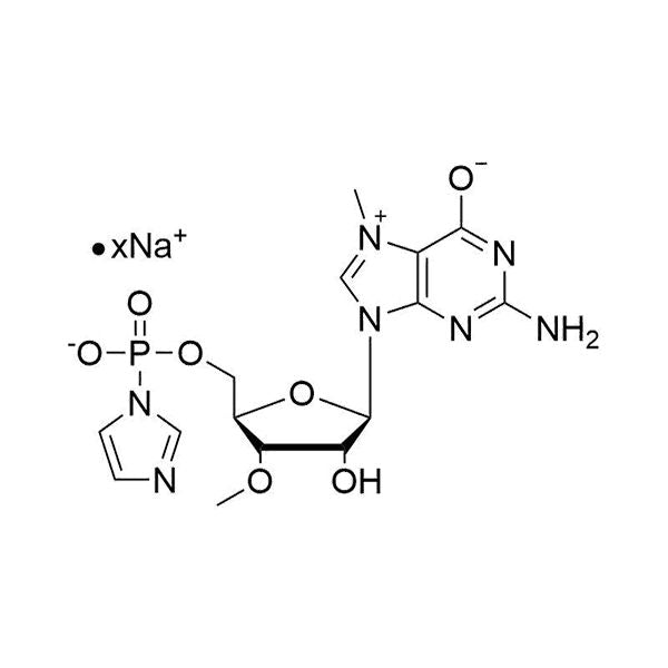 7-Me-3'-OMe-GMP IM