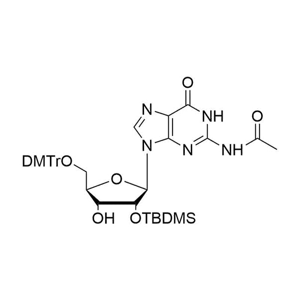 5'-O-DMTr-2'-O-TBDMS-G(Ac)