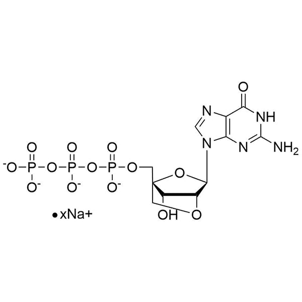 2'-O-4'-C-Locked-GTP, 100mM sodium salt solution