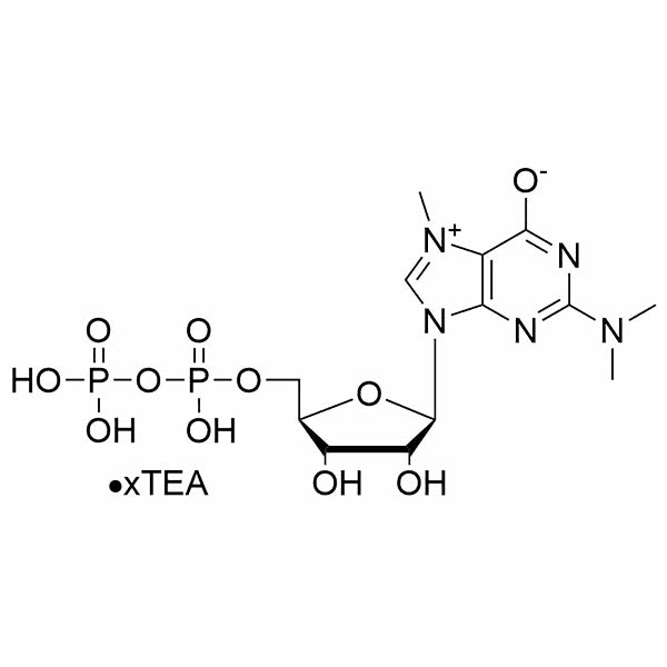 N7-methyl-N2, N2-dimethyl-GDP, TEA salt