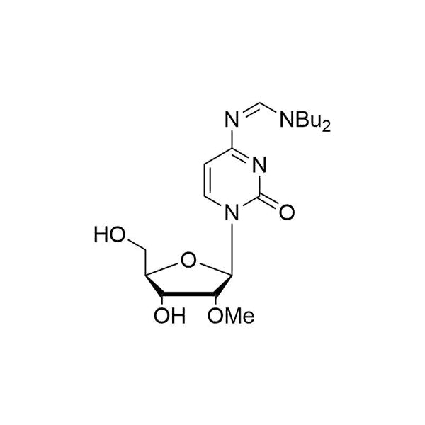 N4-dibutylformamidine-2'-O-Me-Cr