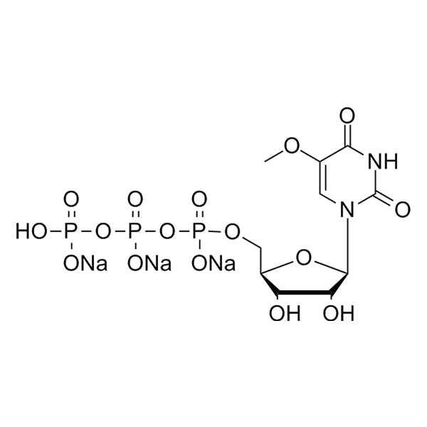 5-OMe-UTP 100mM solution