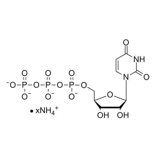 UTP 100mM Ammonium Salt Solution