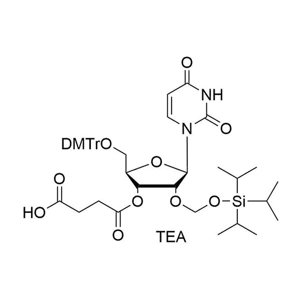 5'-O-DMTr-2'-O-TOM-U succinate
