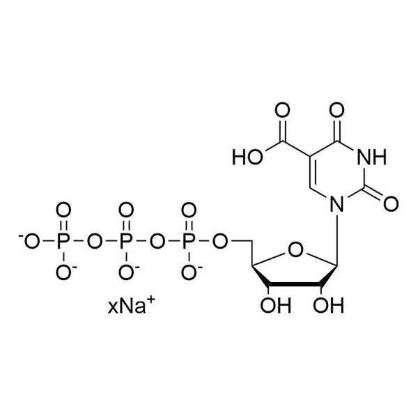 5-carboxy-UTP, 100 mM sodium salt solution