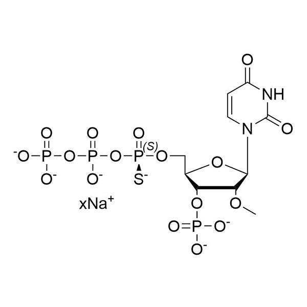 Sp isomer of 2'-OMe-3'-MP-5'-O-(α-Thio)-UTP, 40 mM Sodium Salt Solution