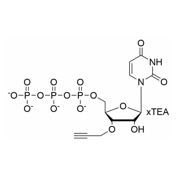 3'-O-propargyl-UTP, 100mM TEA Salt Solution