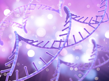 Chemoenzymatic Synthesis of siRNA and sgRNA Using Ligation Technology