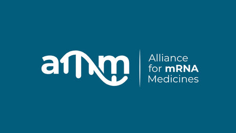 AMM ASCENT 2026