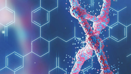 Innovative Improvements in P(V) Oligonucleotide Synthesis Platform, Empowering Oligonucleotide Drug Development!