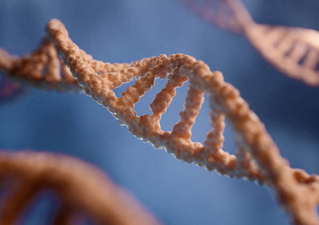 Hongene Biotech Announces Grant to Expand Global Access to mRNA Vaccine Raw Materials