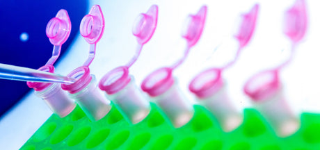 Case Study on the Application of Enzymatic Ligation Synthesis Technology (Part 1): High-Purity Synthesis of Bivalent siRNA