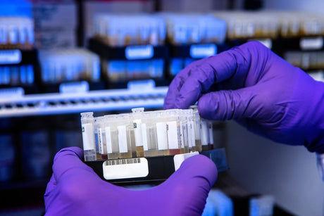 Hongene Supports Clinical Advancement of siRNA DNV001 Using Proprietary Chemoenzymatic Ligation Platform