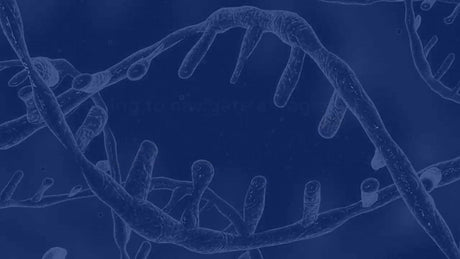 Reducing Risk in Nucleic Acid Therapeutics: The Case for Vertical Integration