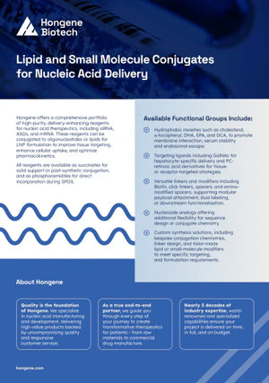 Lipid and Small Molecule Conjugates Flyer