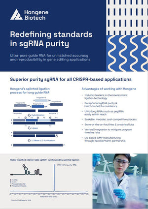 sgRNA Flyer