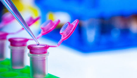 Chemoenzymatic ligation comes of age: A present-day solution for scalable manufacturing for siRNA and sgRNA drugs