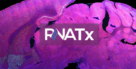 6th Annual RNA Therapeutics Conference