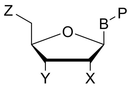 Protected Nucleosides (PNS)