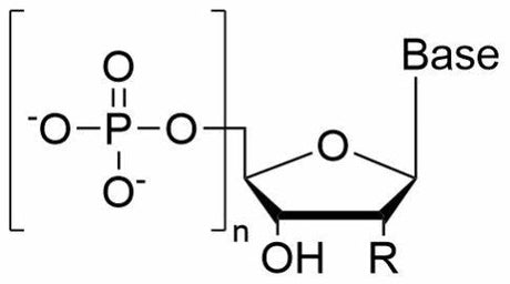 Nucleotides