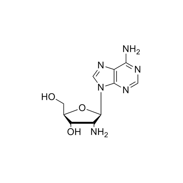 2'-NH2-dA