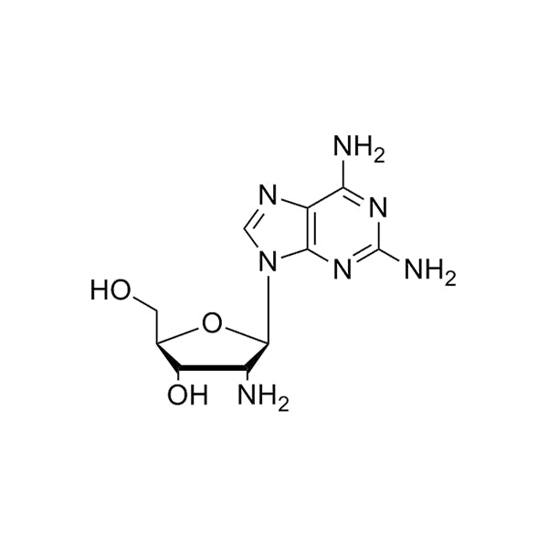 2-NH2-2'-NH2-dA