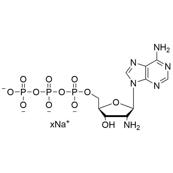 2'-NH2-dATP, 100 mM Sodium Salt Solution