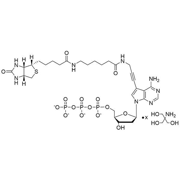 Biotin-11-(7-aminopropargyl)-7-deaza-dATP, 20 mM Tris Salt Solution