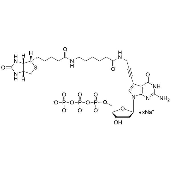 Biotin-11-(7-aminopropargyl)-7-deaza-dGTP, 20 mM Sodium Salt Solution