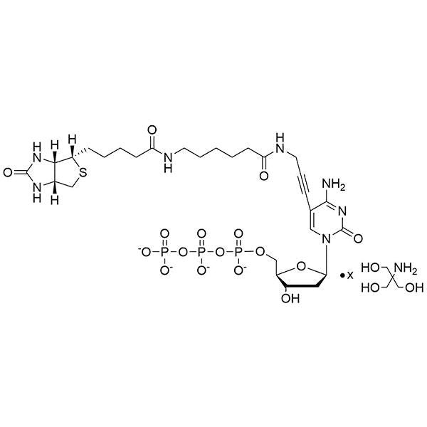 Biotin-11-dCTP, Tris salt Solution