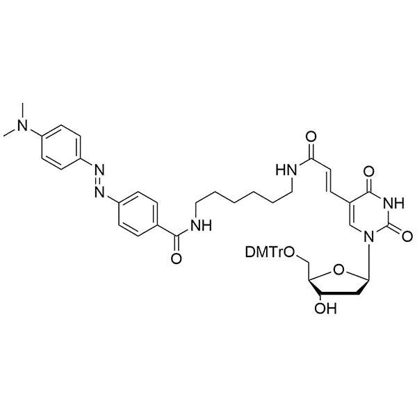 Dabcyl dT