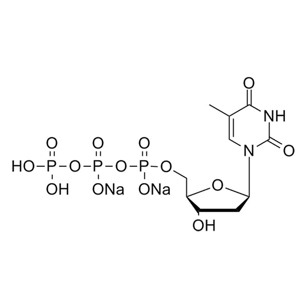 Deoxythymidine Triphosphate (dTTP) for DNA Labeling & Probe Synthesis ...