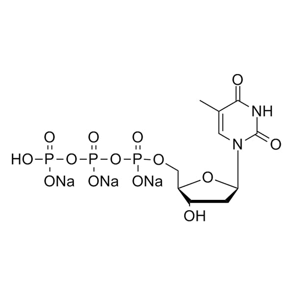 dTTP Solution (100mM) for Reliable DNA Synthesis & PCR – Hongene Online ...