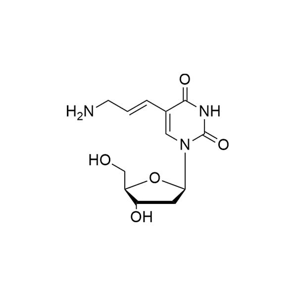 5-amineallyl-2'-dU