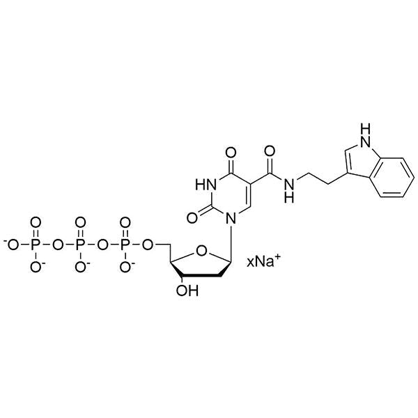 5-[(2-(1H-indol-3-yl)ethyl)carbamoyl]-dUTP, 100 mM Sodium Salt solution