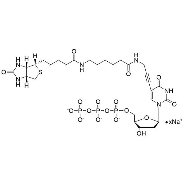 Biotin-11-(5-aminopropargyl)-dUTP, 20 mM Sodium Salt Solution