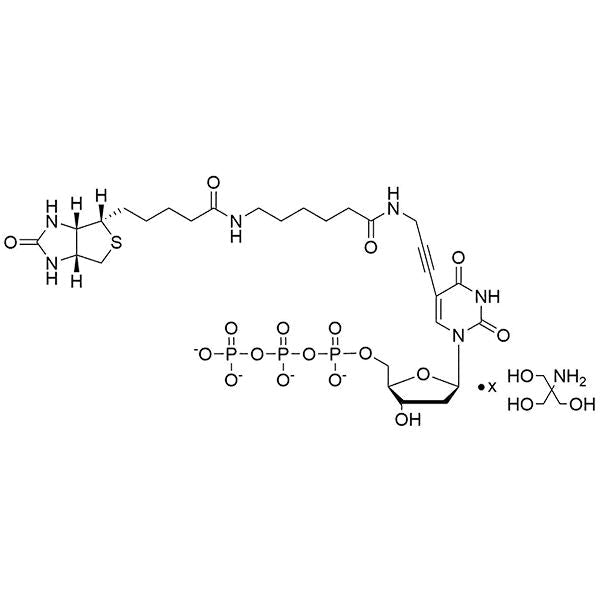 Biotin-11-(5-aminopropargyl)-dUTP, 20 mM Tris Salt Solution