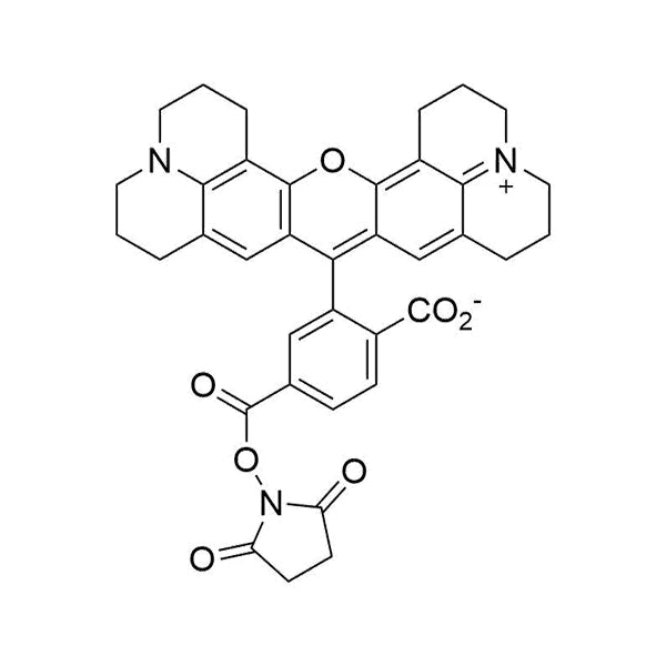 6-ROX NHS Ester