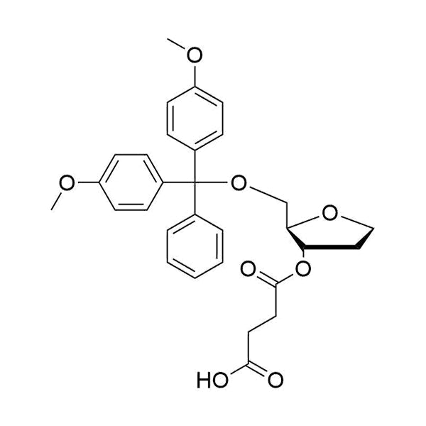 Abasic Succinate