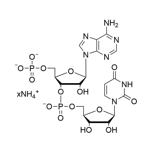 pAmpU•NH4 salt