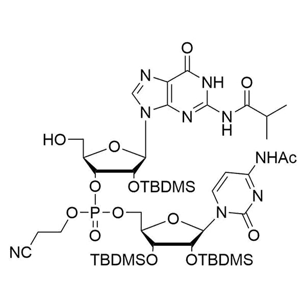 [2'-O-TBDMS-G(iBu)](pCyEt)[2', 3'-diTBDMS-C(Ac)]