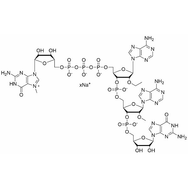 m7G(5')ppp(5')(2'-OEtA)p(2'-OMeA)pG, 100 mM sodium salt solution