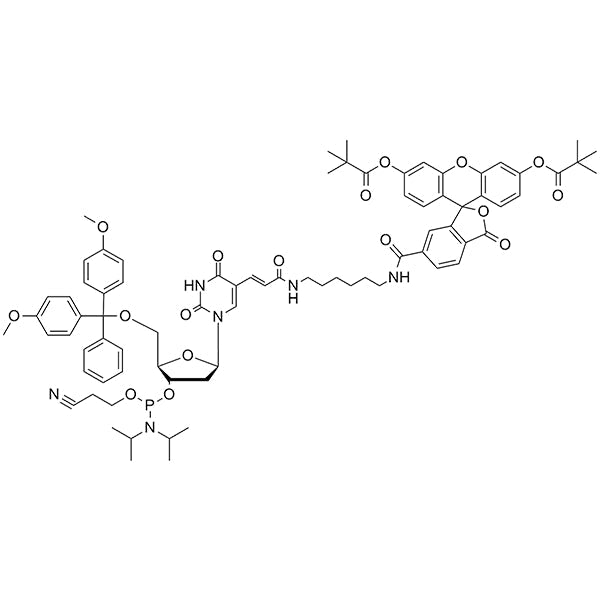 Fluorescein-dT Phosphoramidite