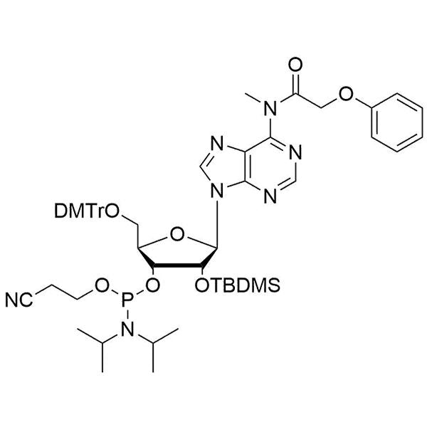 N6-Me-5'-ODMTr-2'-OTBDMS-A(Pac)-3'-CE-Phosphoramidite