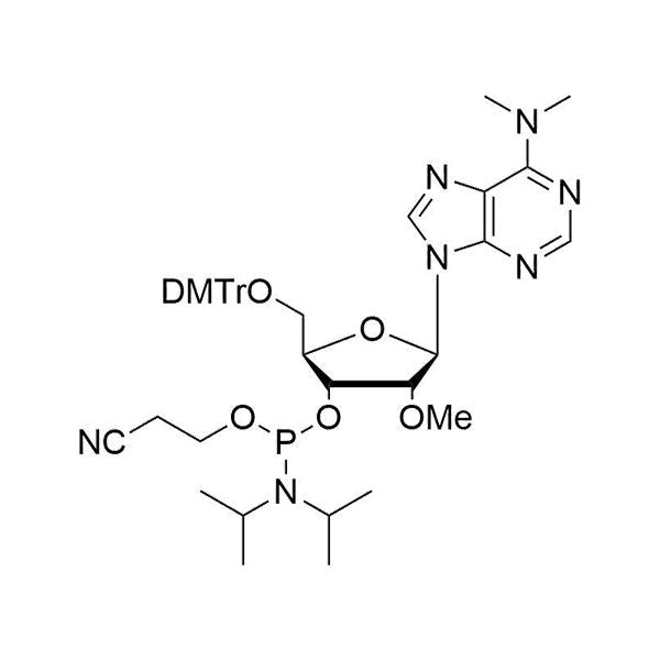 N6-diMe-5'-ODMTr-2'-OMe-A-3'-CE-phosphoramidite