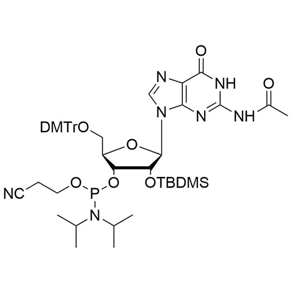 5'-O-DMTr-2'-O-TBDMS-G(Ac)-3'-CE-Phosphoramidite